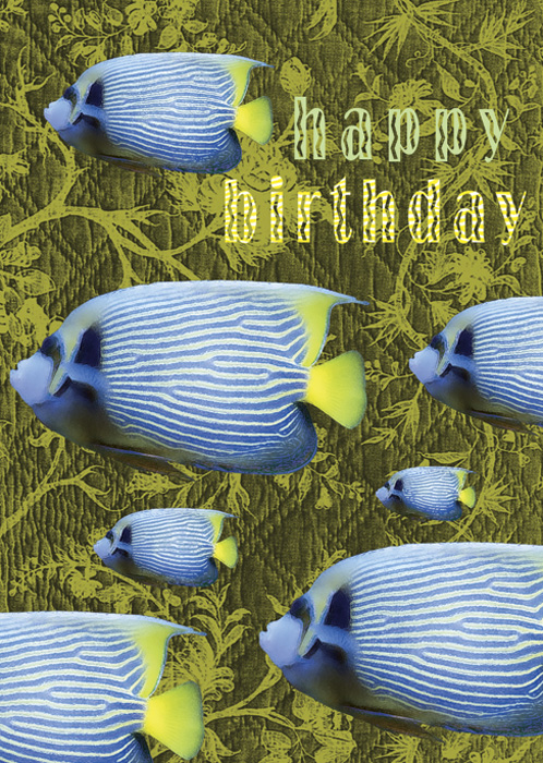 Happy Birthday Blue Fish Greeting Card by Max Hernn - Click Image to Close